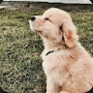 Meet your Posher, Logan